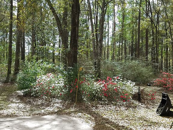 Blooms 4 times per year