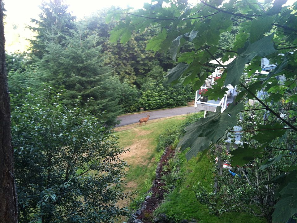 2nd image of 477 Island Blvd