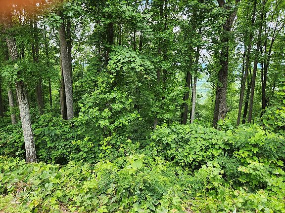 3rd image of 18 Rocky Knob