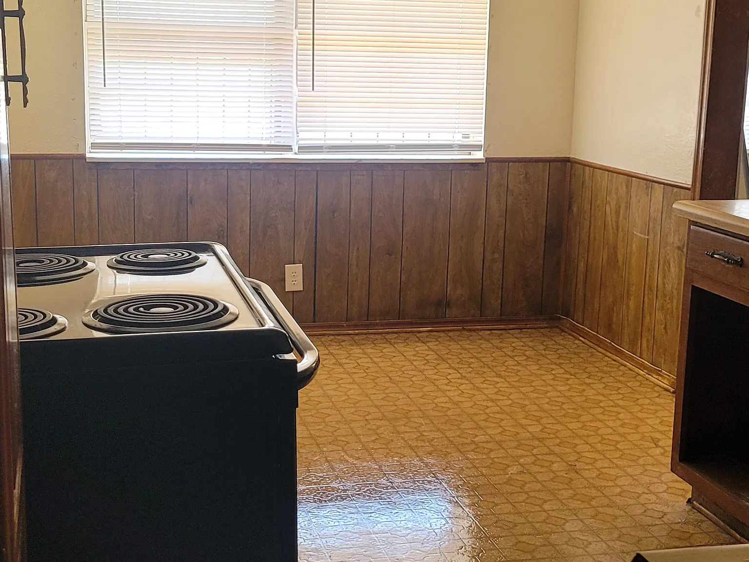 1 bed, $700 — Photo 1