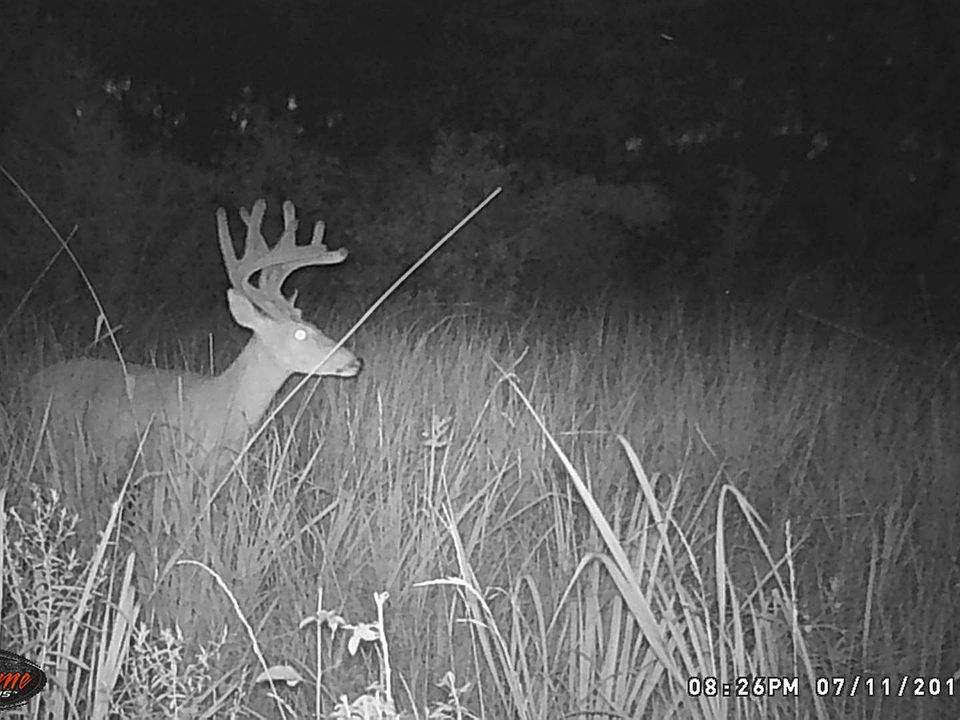 1st image of 5775 County Road 3800