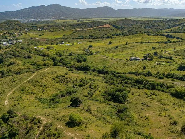 BARRIO GUAYANÉS, YABUCOA, PR 00767