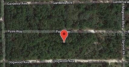 2nd image of 117 Palm Way #9