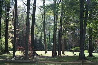 1st image of 222 Meadowood Ln