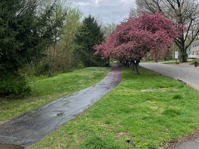 View of walking trail close by.
