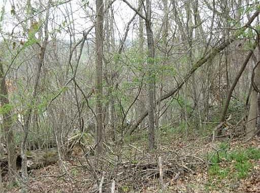 3rd image of Dogwood Cir #71-87-93