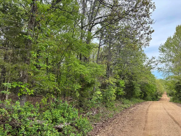 000 County Road 122, Wasola, MO 65773