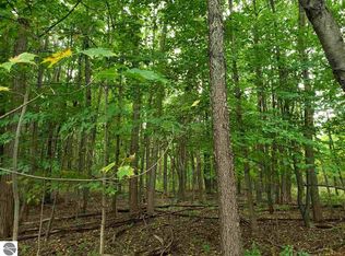 0 Marilla Rd, Copemish, MI 49625