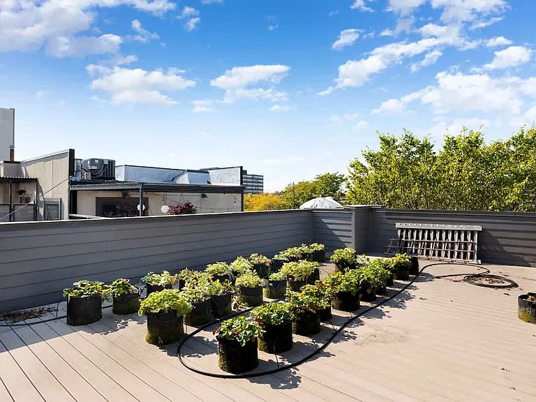 Terrace View