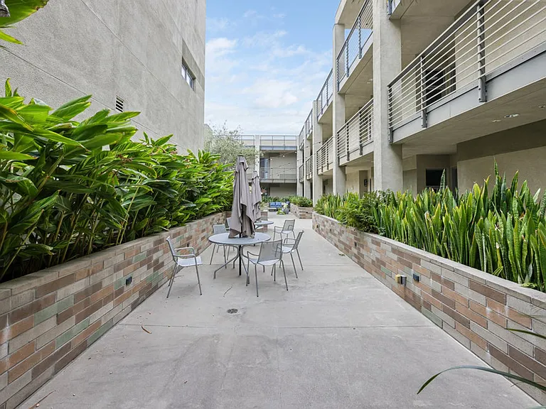 Olea — Photo 44