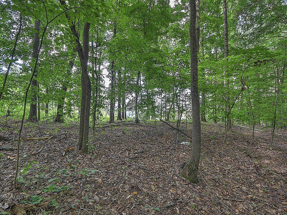 1st image of TRACT 2R Payne Ridge Rd