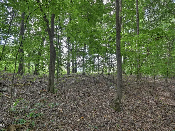 TRACT 2R Payne Ridge Rd, Church Hill, TN 37642