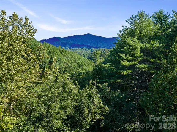 Fog Hollow Dr, Green Mountain, NC 28740