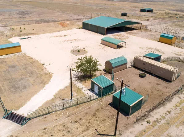 McNeely Rd, Tatum, NM 88267