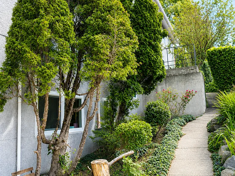 Whiterock Apartments — Photo 5