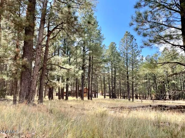 2378 BLUE RIDGE Drive #479, Happy Jack, AZ 86024