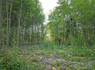 L Parcel Rd, Greenbush, MI 48738