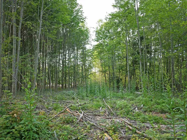 L Parcel Rd, Greenbush, MI 48738