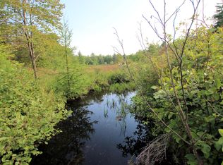 Baseline Rd, White Cloud, MI 49349