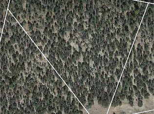 91 Knight Ln, Cotopaxi, CO