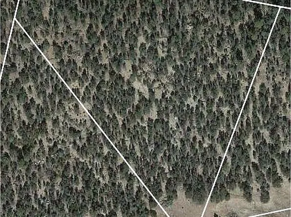 91 Knight Ln, Cotopaxi, CO 81223