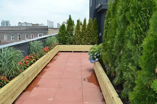 Rented by Dream Space Realty | media 36