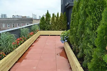 Rented by Dream Space Realty