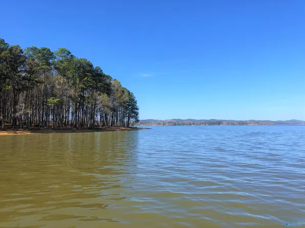4 Little River Lndg, Cedar Bluff, AL 35959