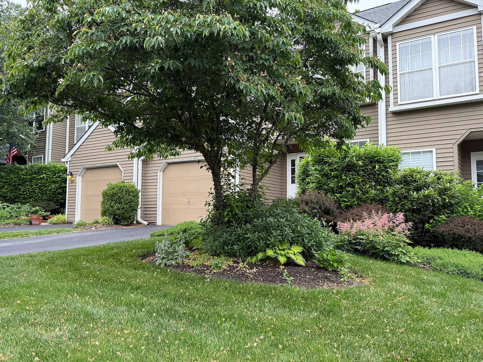 3 bed, 2250 sqft, $3,325 — Photo 2