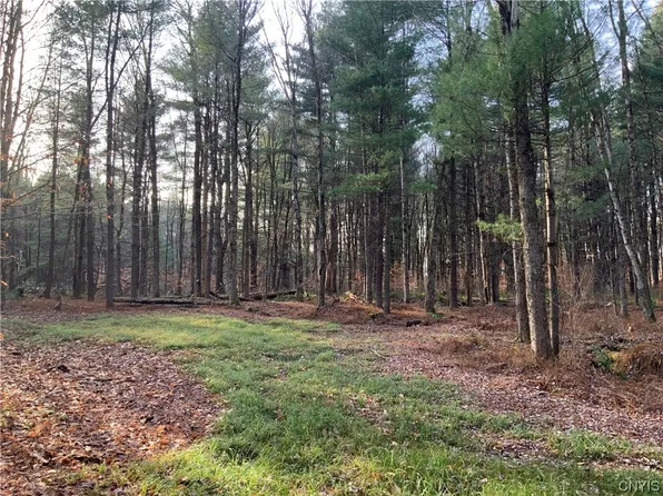 0 Stone Hill Rd #1, Williamstown, NY 13493