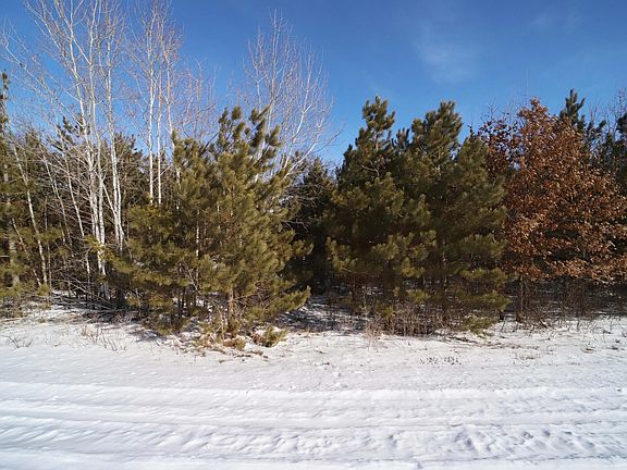 5th image of 14467 Big Buck Dr