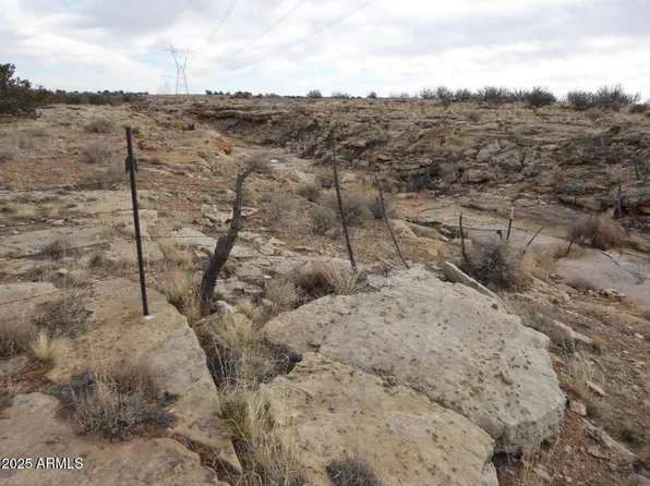 Lot 301 Chevelon Canyon Ranch -- #301, Heber, AZ 85928