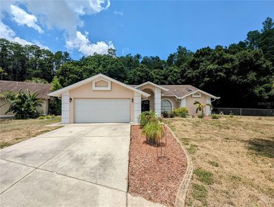 7653 Cypress Trace Ct, New Port Richey, FL, 34653