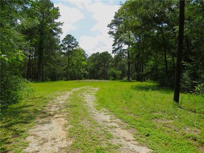 4542 Evergreen Forest Ln, Navasota, TX, 77868
