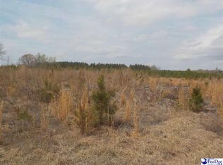 Pearson Rd, Bennettsville, SC 29512