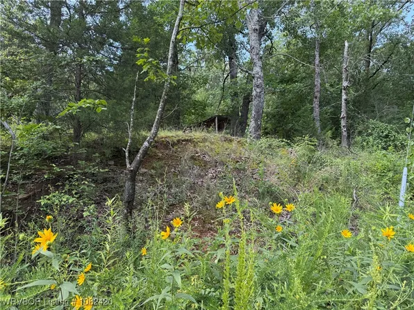 Tower Dr, Gans, OK 74936