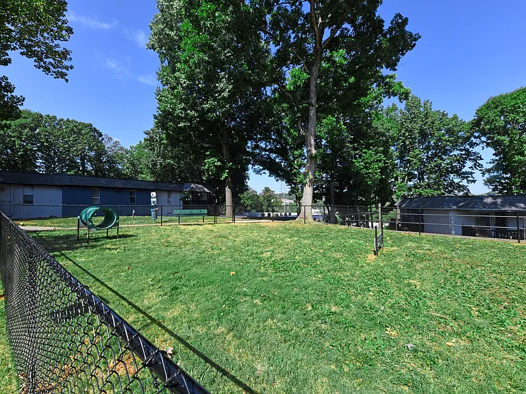 Leash Free Bark Park