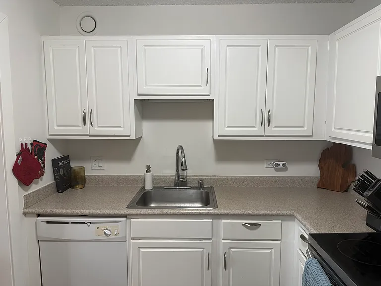 10 E Ontario St #5007 — Photo 6