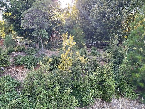 2nd image of 3607 Pine Terrace Dr