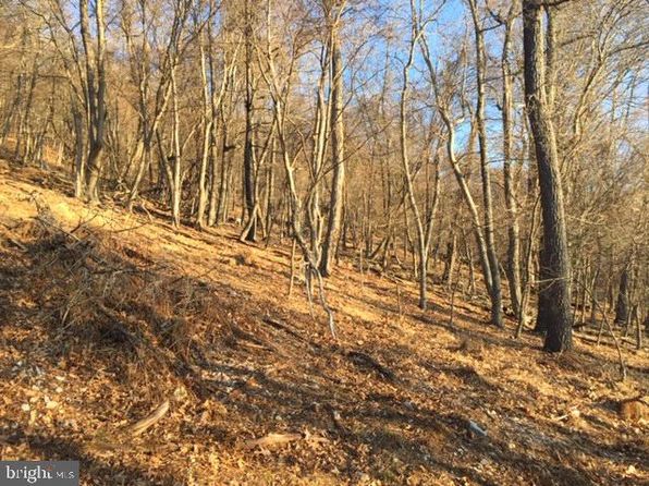 Route 5/10 Buffalo Hills Rd, Franklin, WV 26807
