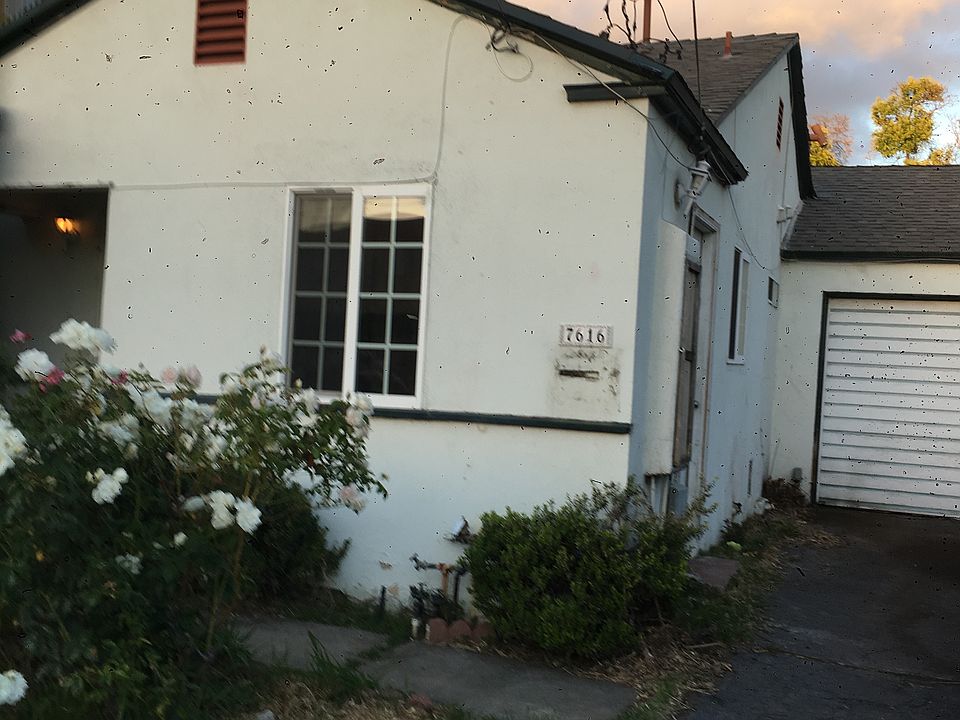Front of the house