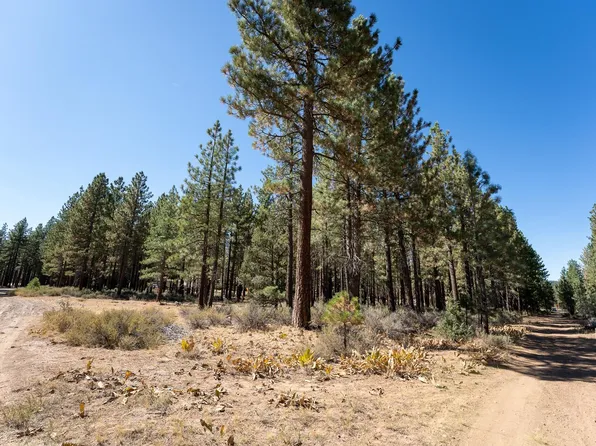 212 Grizzly Way, Portola, CA 96122