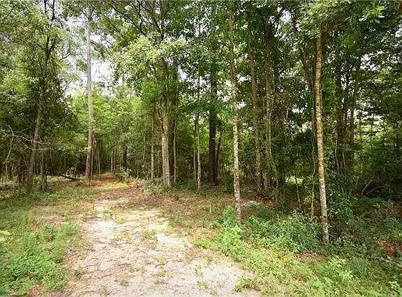4th image of 70268 Highway 41