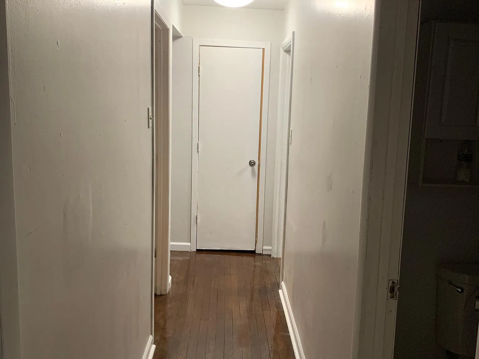 3 bed, 1020 sqft, $1,800 — Photo 4