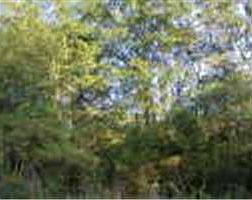 2nd image of 5200 Highway 186 Rd