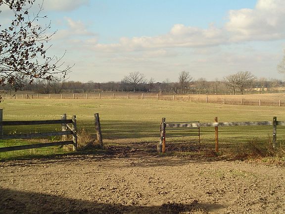 2 fenced pastures back to open space