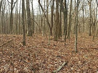 LOT18C Burnt Mountain Cove Rd LOT 117, Jasper, GA 30143