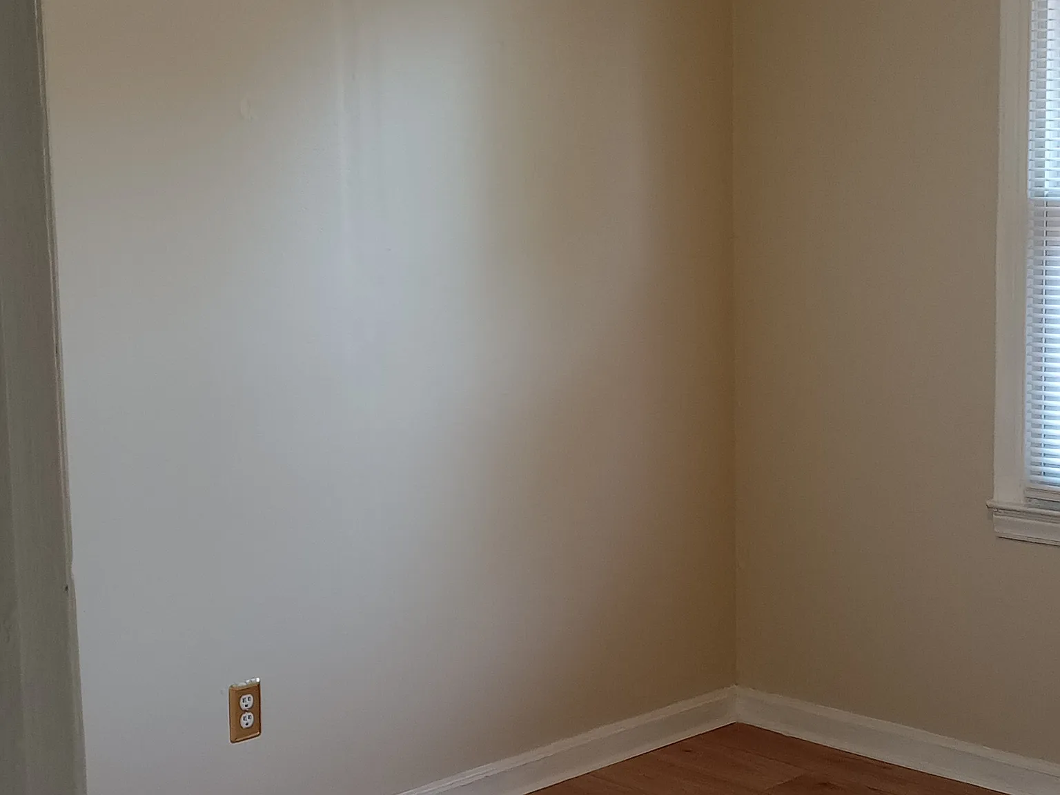 219 White St — Photo 4