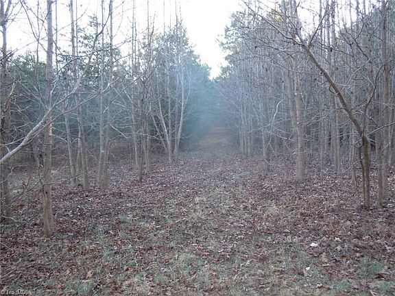 5th image of 246 Willow Creek Rd Unit Tract