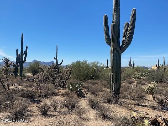 1st image of 5651 W Desert Falcon Ln